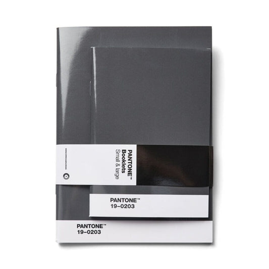 Pantone Booklets Set of 2 in Gray 19-0203