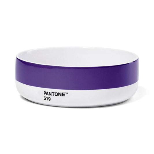 Pantone Bowl in Violet 519
