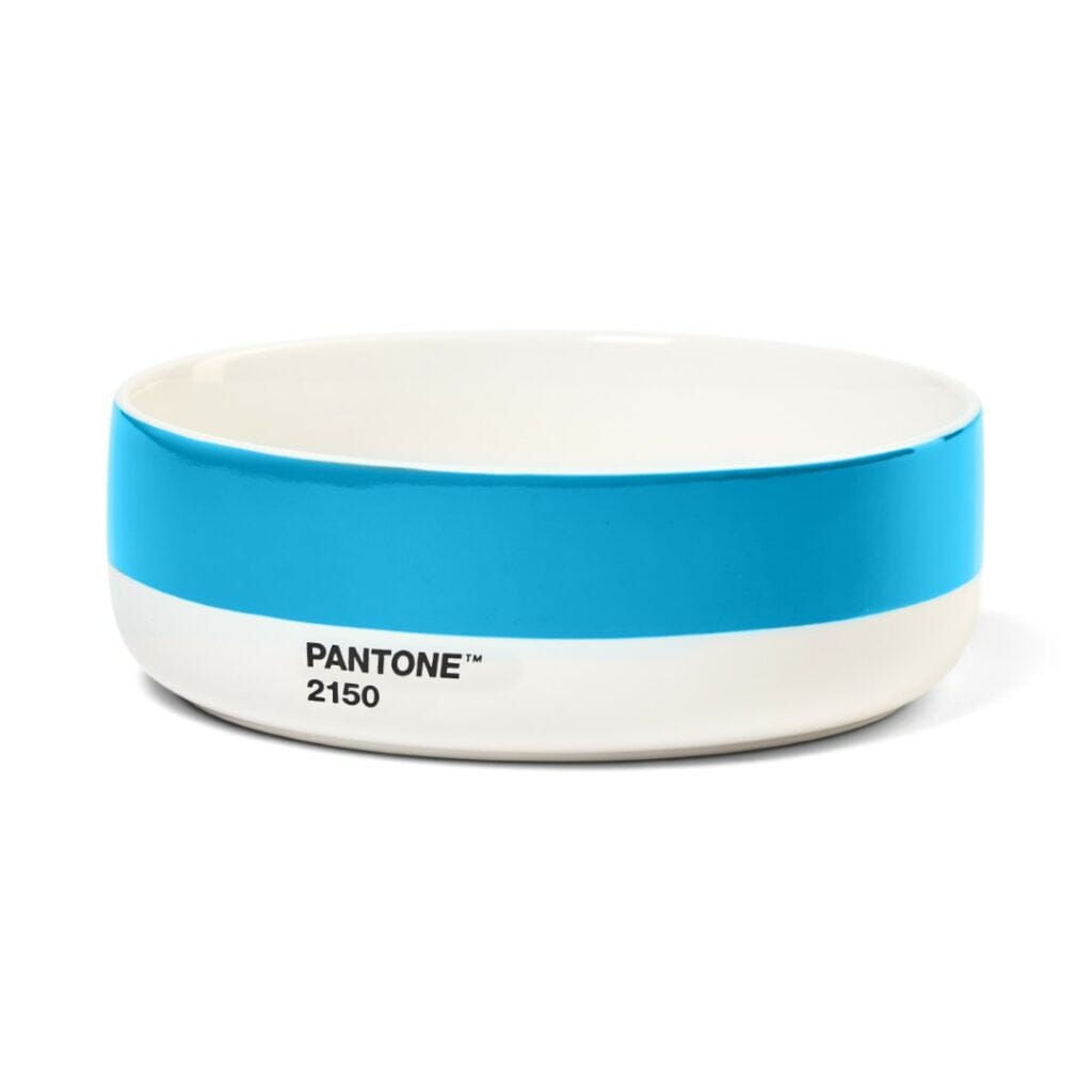 Pantone Bowl in Blue 2150