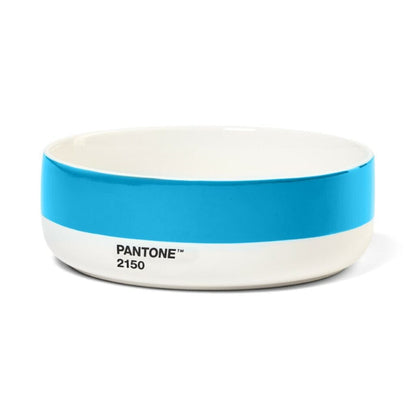 Pantone Bowl in Blue 2150