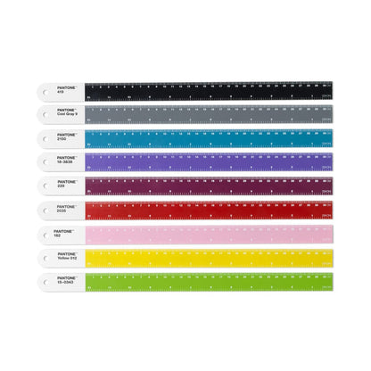 Pantone Ruler in Warm Gray 2