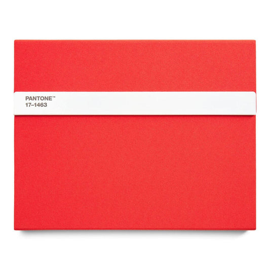 Pantone Notebook with Pencil Unlined in Orange 17-1463