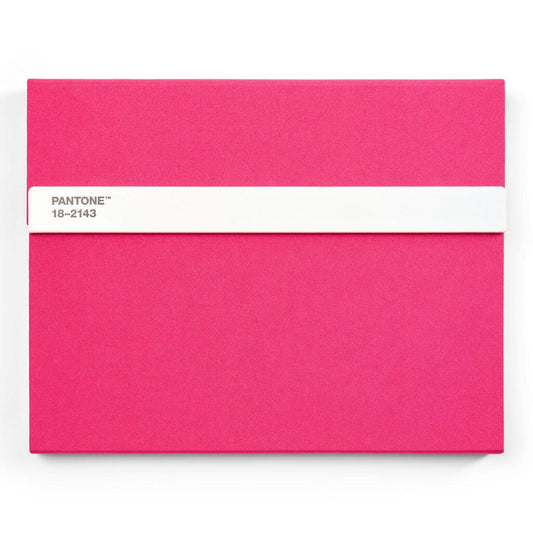 Pantone Notebook with Pencil Lined in Pink 18-2143