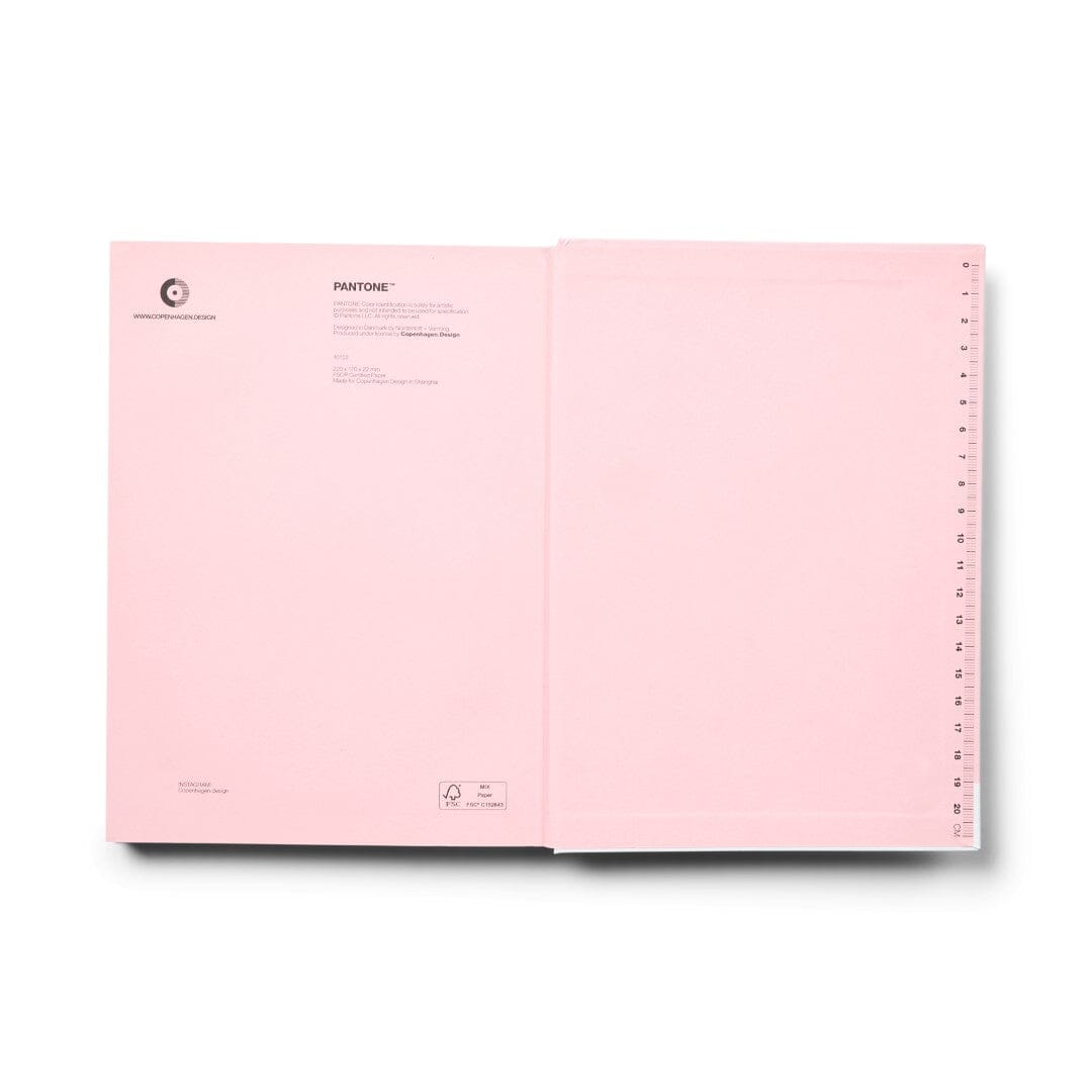 Pantone Large Dotted Notebook in Light pink 13-2006
