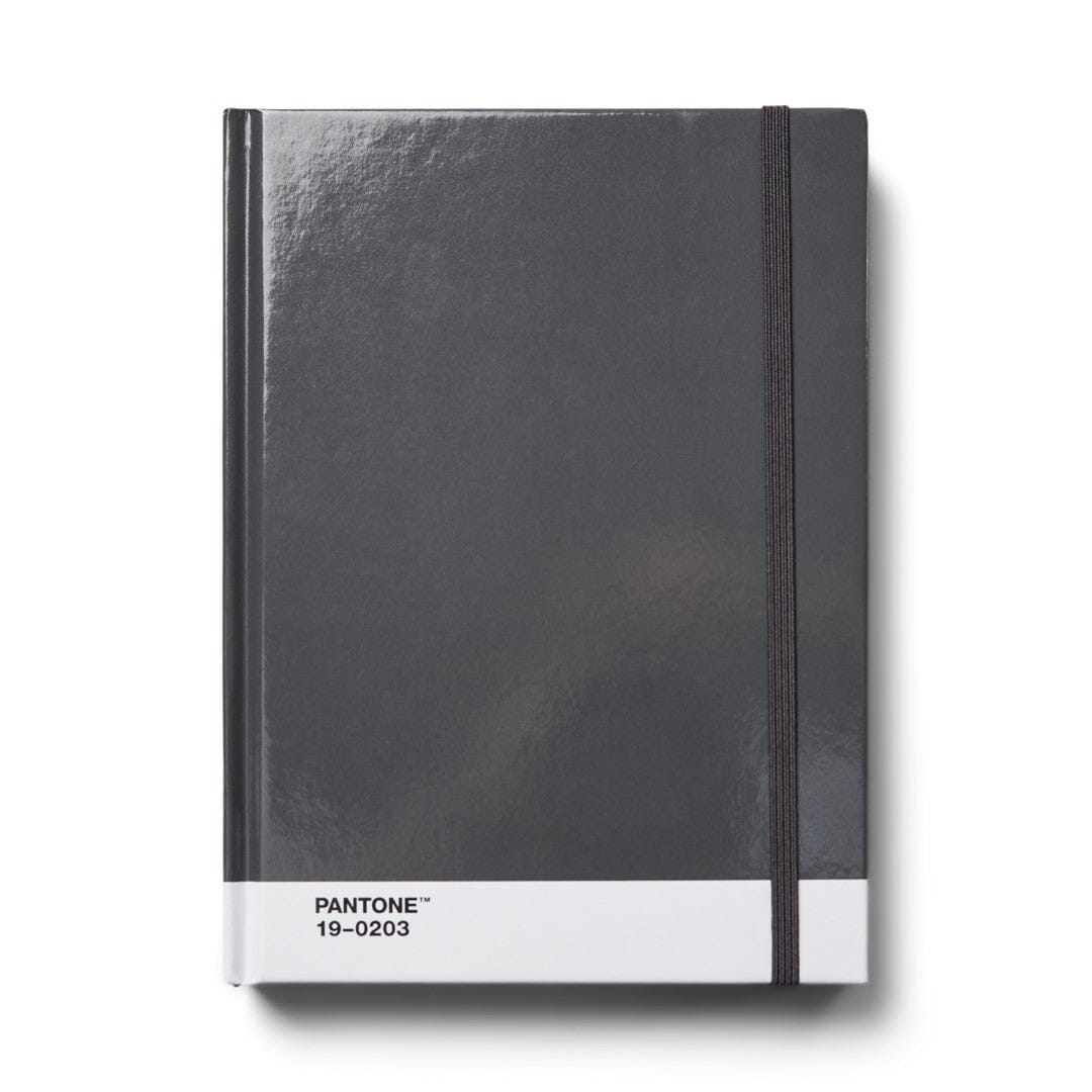 Pantone Large Dotted Notebook in Grey 19-0203