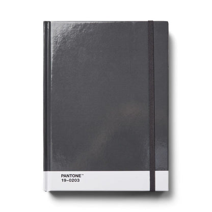 Pantone Large Dotted Notebook in Grey 19-0203