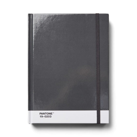 Pantone Large Dotted Notebook in Grey 19-0203