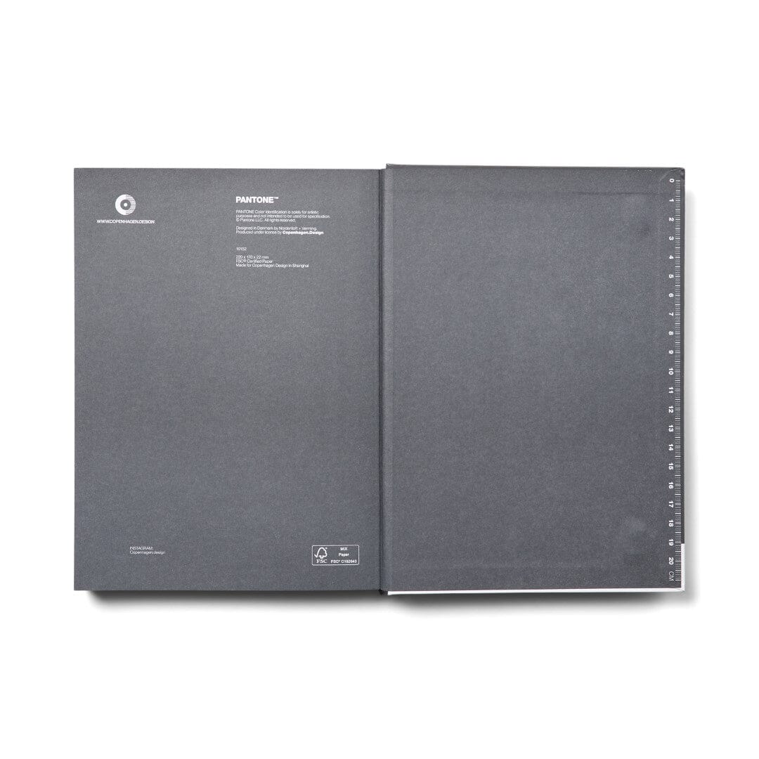 Pantone Large Dotted Notebook in Grey 19-0203