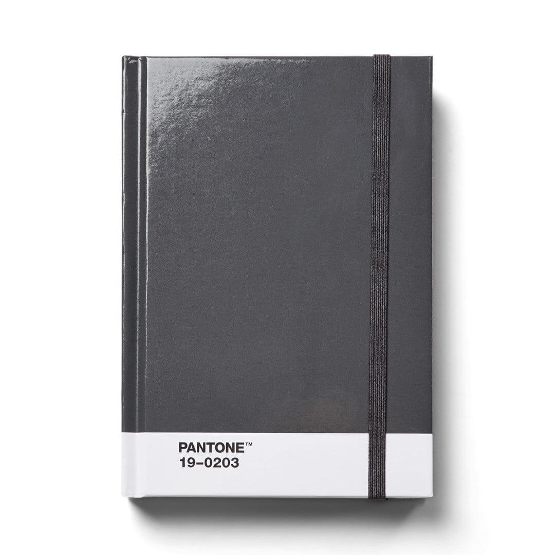 Pantone Small Dotted Notebook in Grey 19-0203