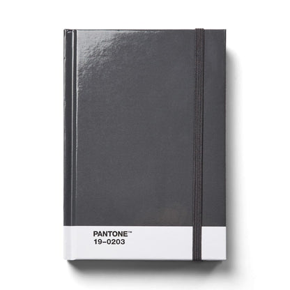 Pantone Small Dotted Notebook in Grey 19-0203