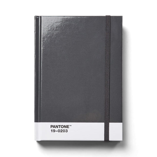 Pantone Small Dotted Notebook in Grey 19-0203