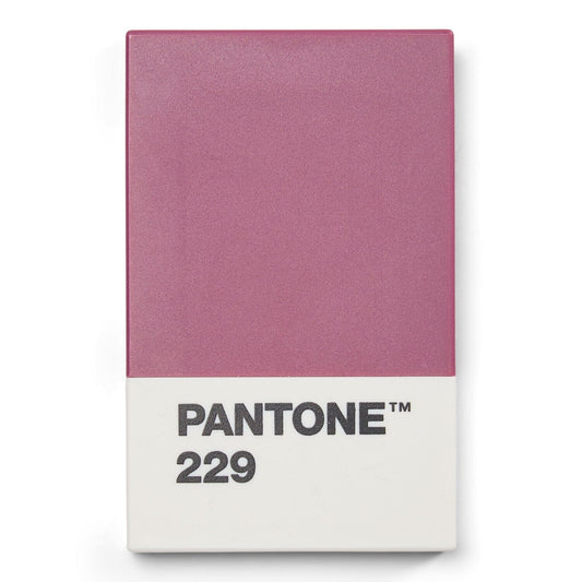 Pantone Credit Card Holder in Aubergine 229