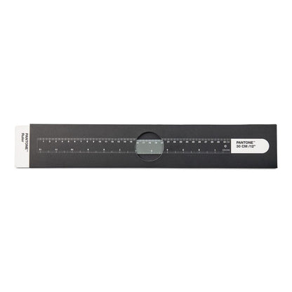 Pantone Ruler in Cool Gray 9 C