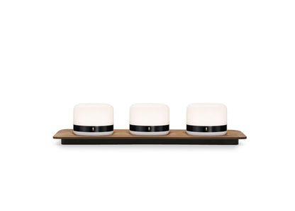 Luna Firefly Portable Lights