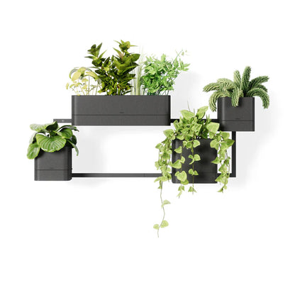 Umbra Cubiko Wall Planter