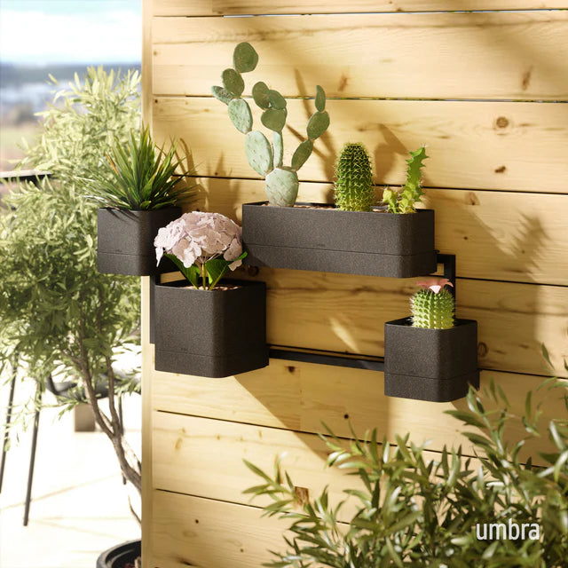 Umbra Cubiko Wall Planter