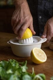 Tranquillo Lemon Squeezer