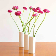 Load image into Gallery viewer, Heart Vases - Set of 3 in White Ceramic
