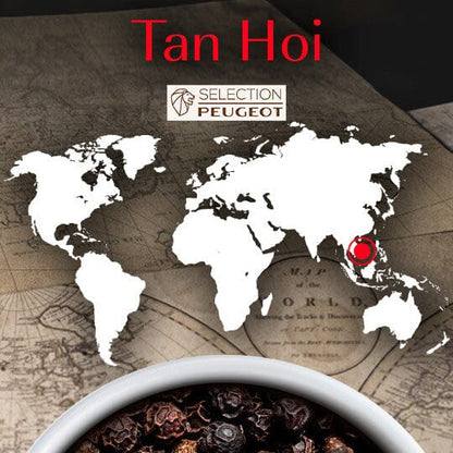 Peugeot Spices