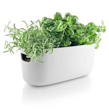 Load image into Gallery viewer, Eva Solo Self-Watering Herb Container
