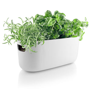 Eva Solo Self-Watering Herb Container
