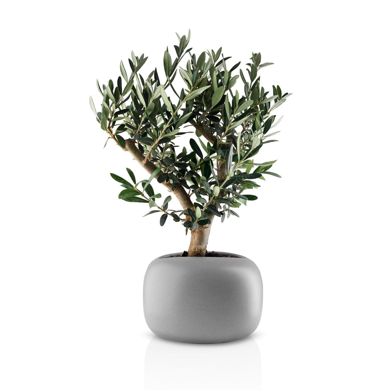 Eva Solo Stone Display Planter