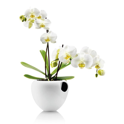 Eva Solo Orchid Pot