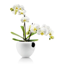 Load image into Gallery viewer, Eva Solo Orchid Pot
