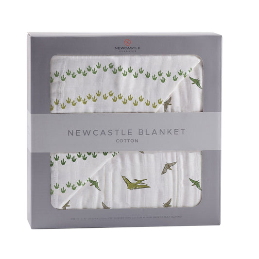 Dino Feet and Pteranodon Newcastle Blanket